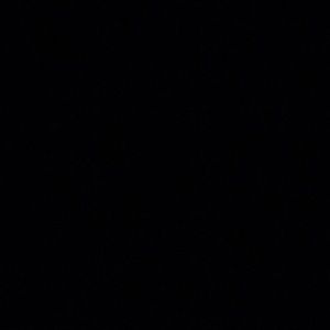 Meet your Posher, Allie